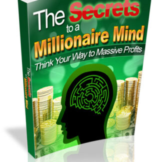 The Secrets To a Millionaire Mind